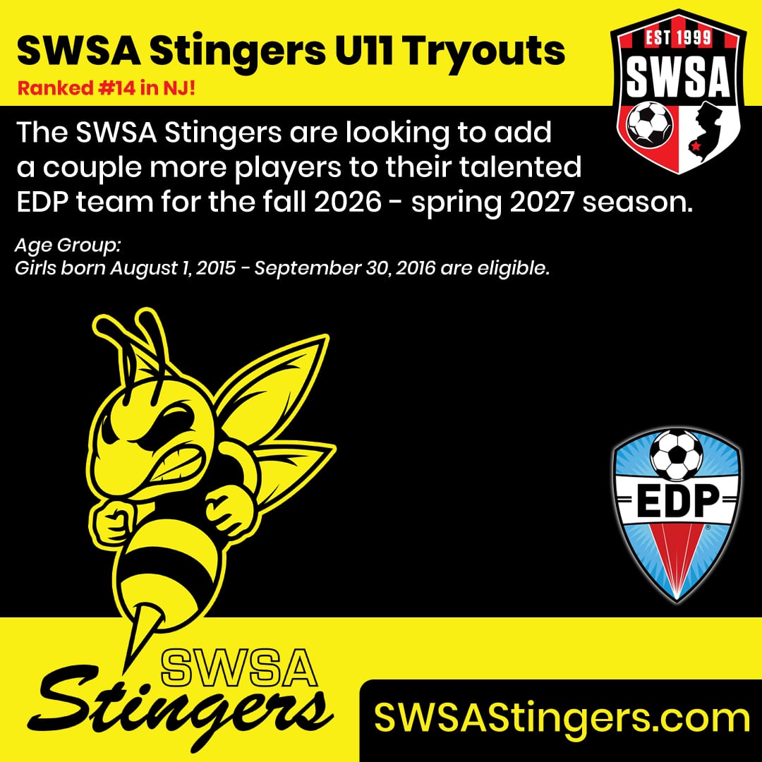 stingers tryout 2026 website